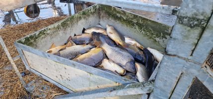 Ležánecký 25 (3).jpg